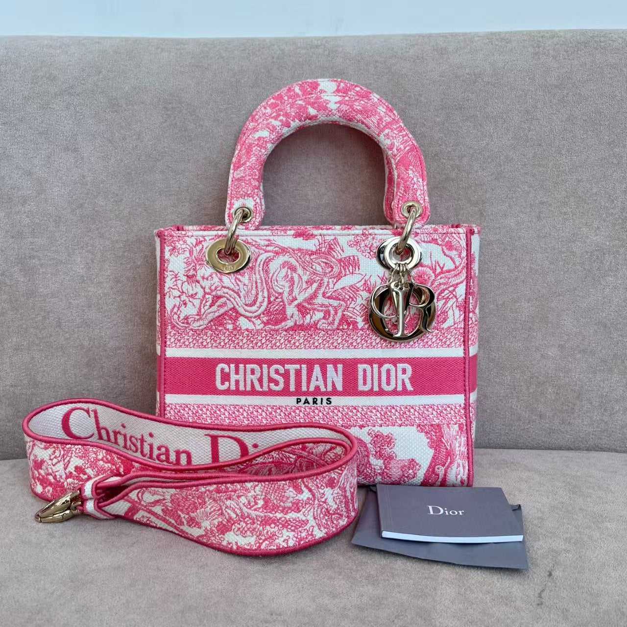 preloved Dior bag Lady D-Lite