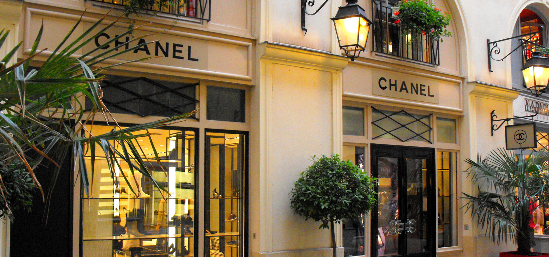 Chanel collection